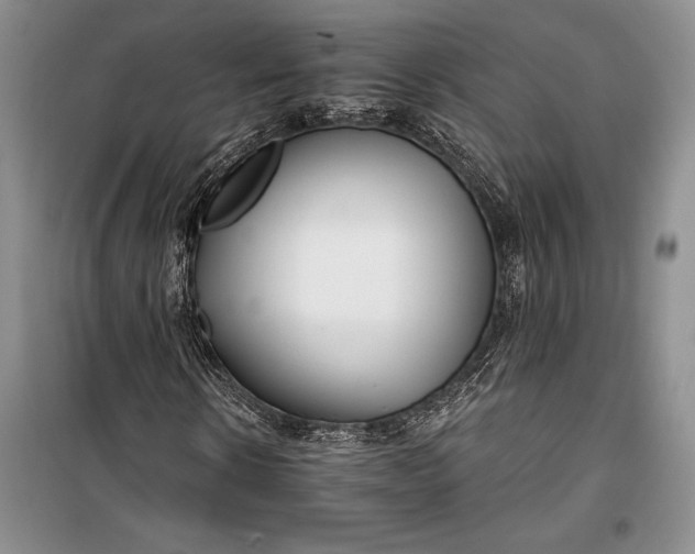 X0000100200914200806131226