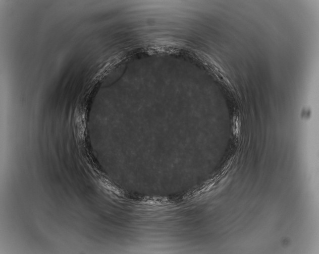 X0000100200915200806131226