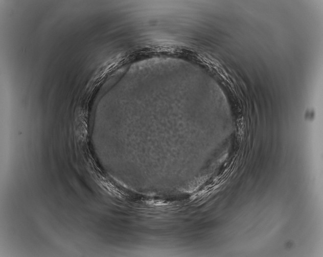 X0000100200916200806131226