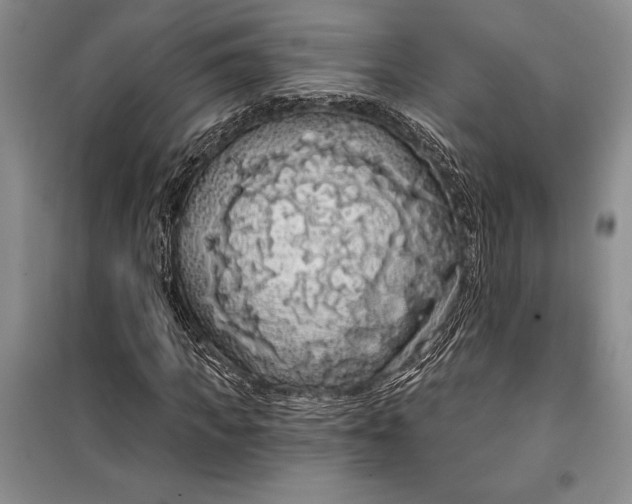 X0000100200917200806131226