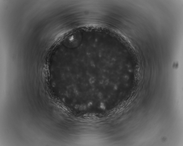 X0000100200918200806131226