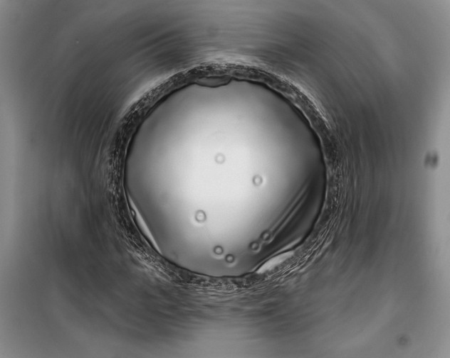 X0000100200919200806131226