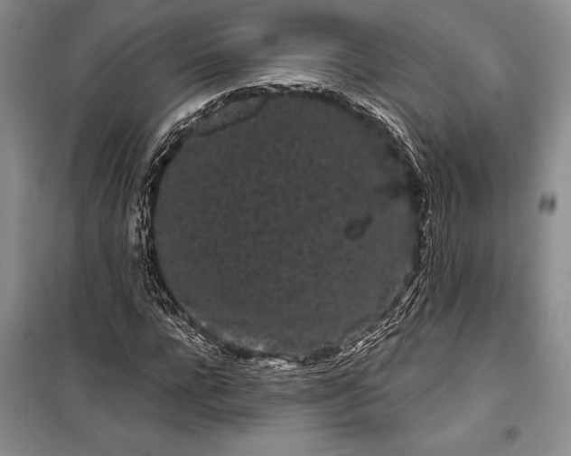 X0000100200920200806131226