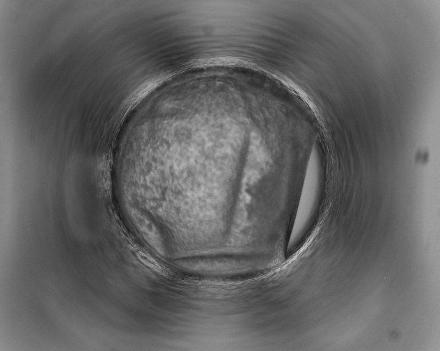 X0000100200921200806131226