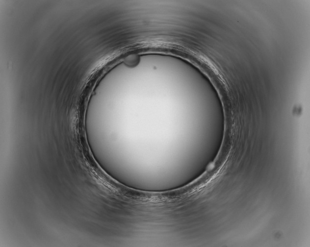 X0000100200922200806131226