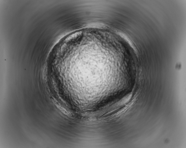 X0000100200923200806131226