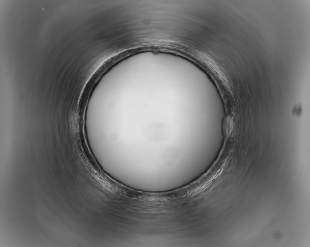 X0000100200924200806131226