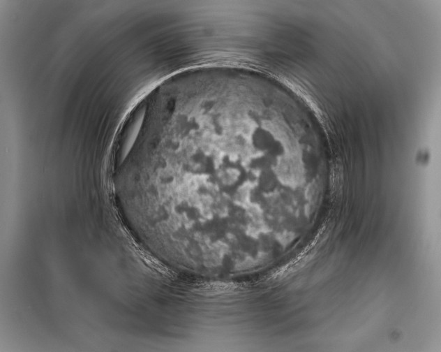 X0000100200925200806131226