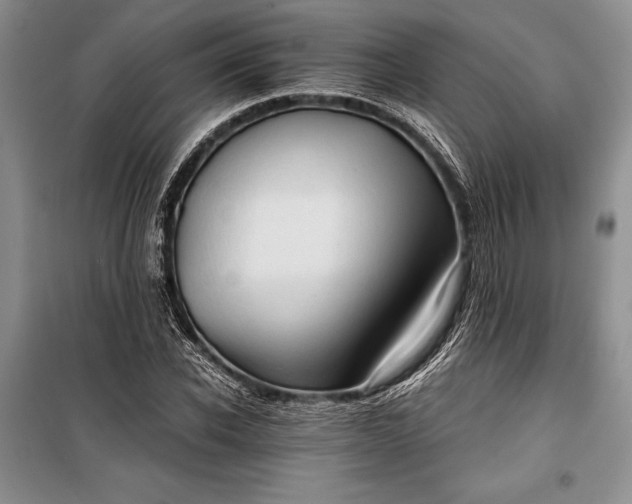 X0000100200926200806131226