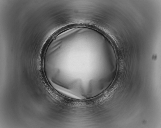 X0000100200927200806131226