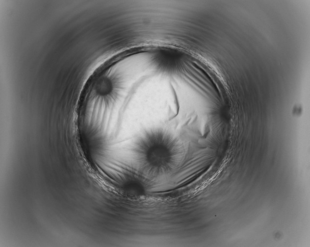 X0000100200928200806131226