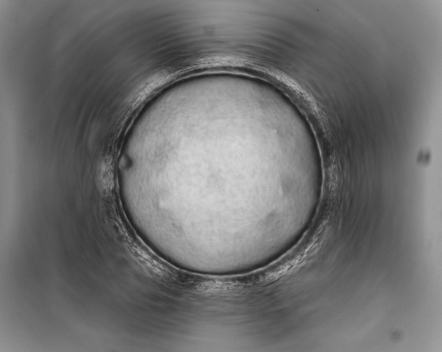 X0000100200929200806131226