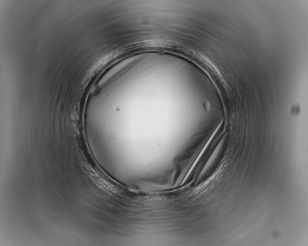 X0000100200930200806131226