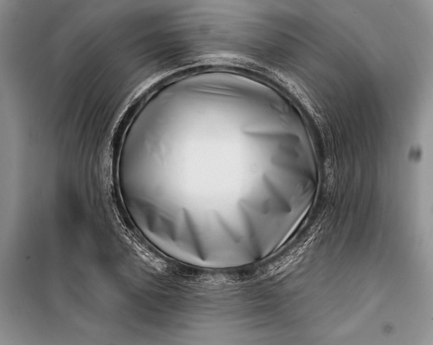 X0000100200931200806131226