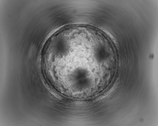 X0000100200933200806131226