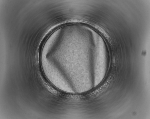 X0000100200934200806131226