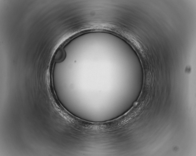 X0000100200936200806131226