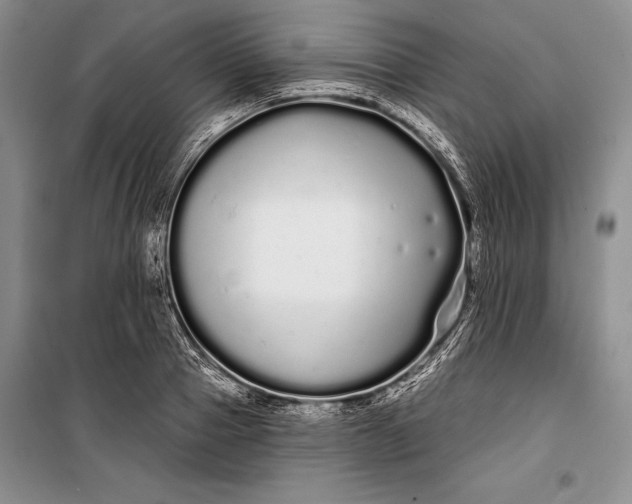 X0000100200937200806131226