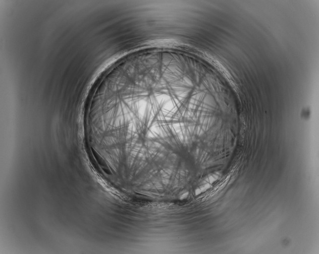 X0000100200939200806131226