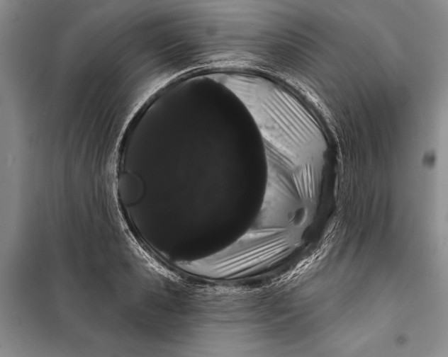 X0000100200941200806131226