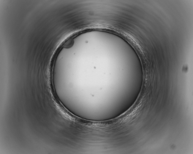 X0000100200942200806131226