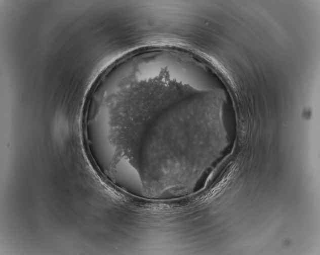 X0000100200943200806131226