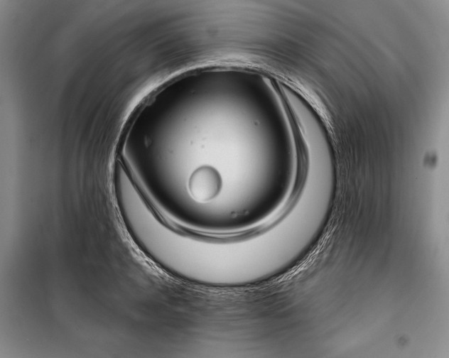 X0000100200944200806131226