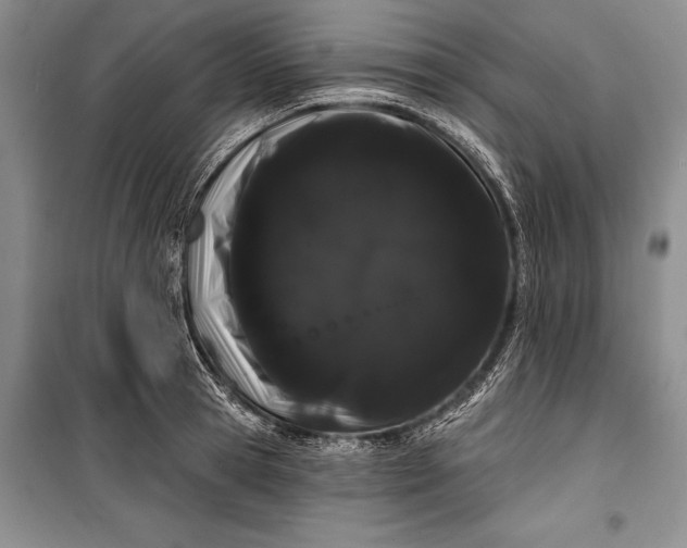 X0000100200945200806131226