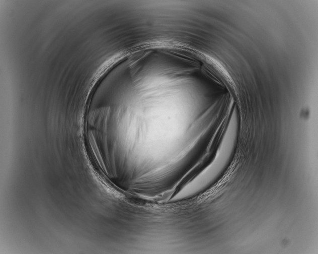 X0000100200946200806131226