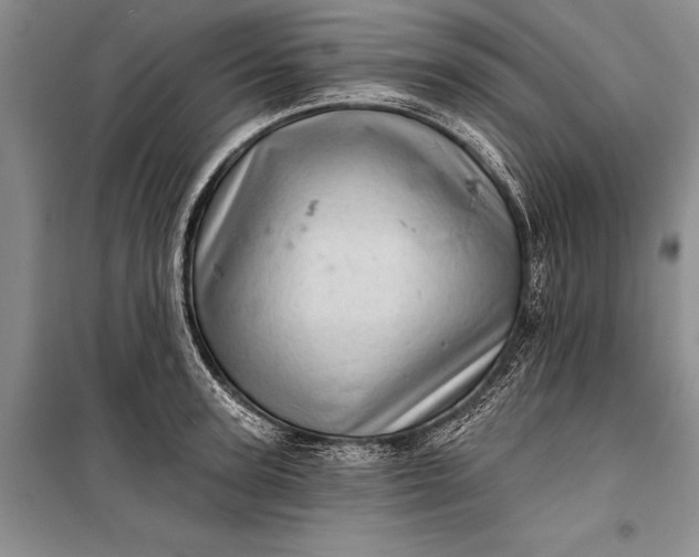 X0000100200947200806131226