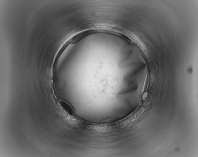 X0000100200948200806131226