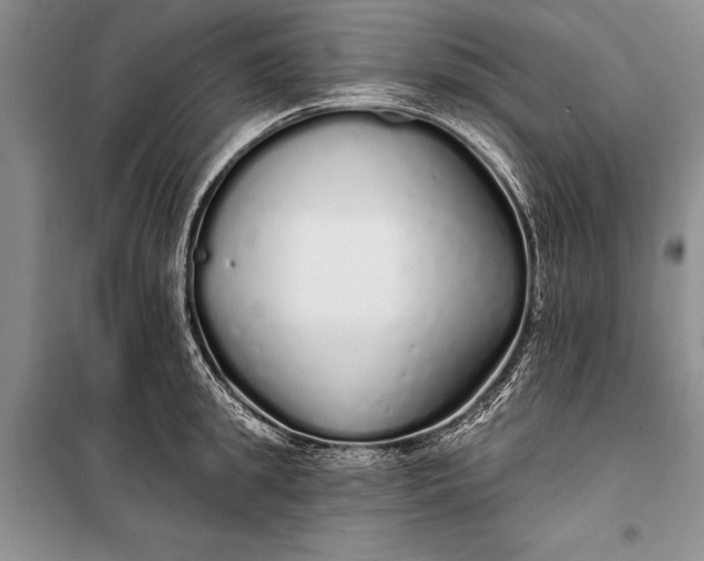 X0000100200949200806131226