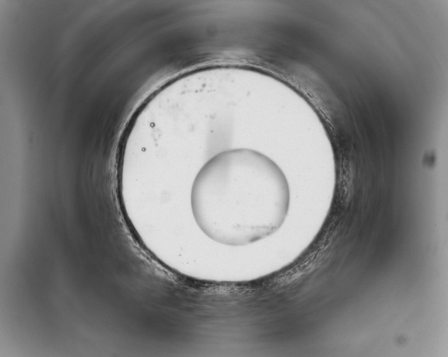 X0000100200950200806131226