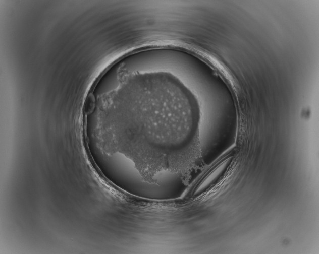 X0000100200951200806131226