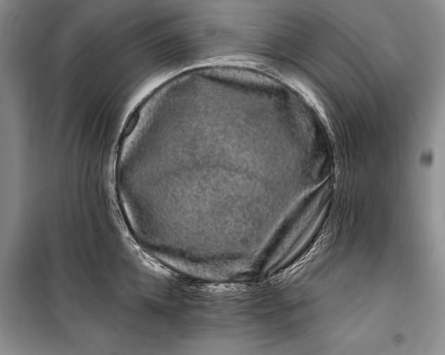 X0000100200952200806131226