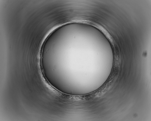 X0000100200955200806131226