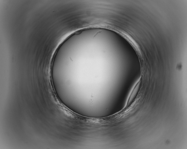 X0000100200956200806131226