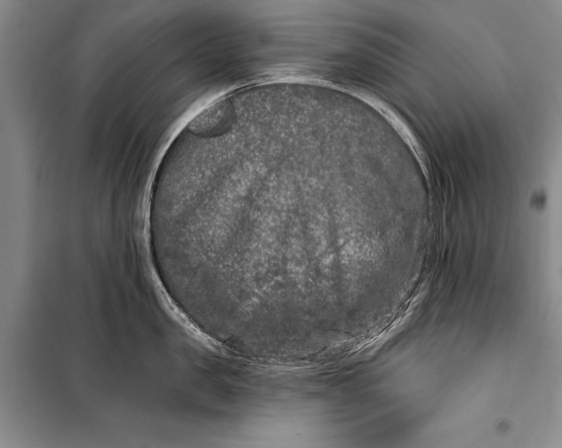 X0000100200957200806131226