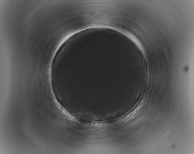 X0000100200958200806131226