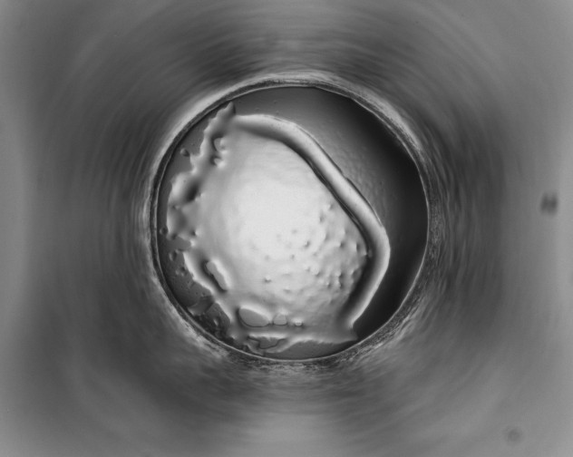 X0000100200959200806131226