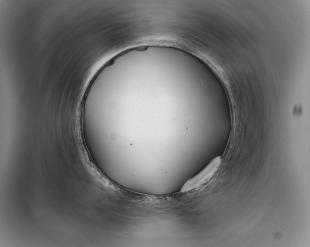 X0000100200960200806131226