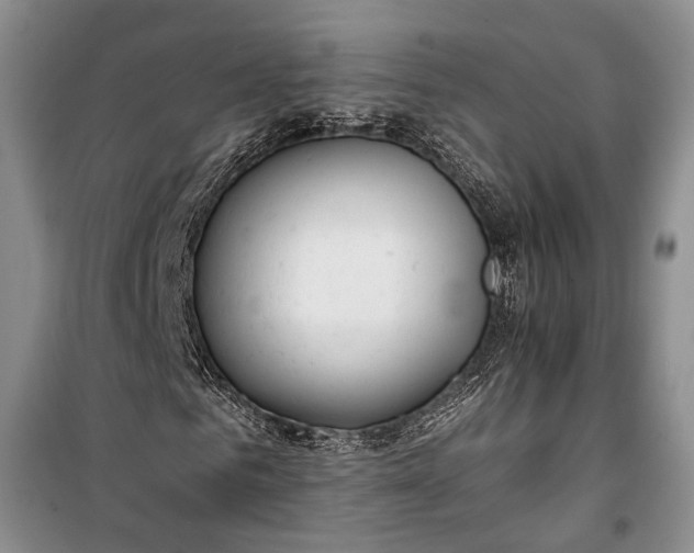 X0000100200961200806131226