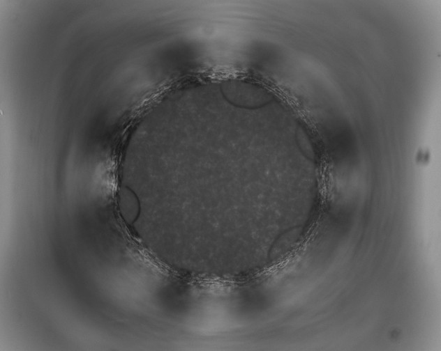 X0000100200962200806131226