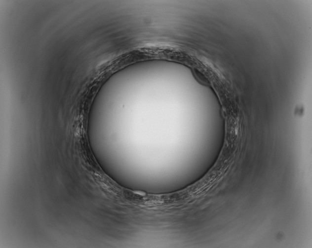 X0000100200965200806131226