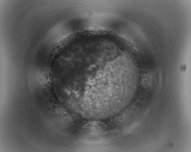 X0000100200966200806131226