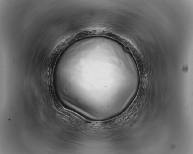 X0000100200967200806131226