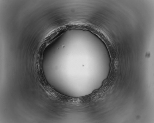 X0000100200968200806131226