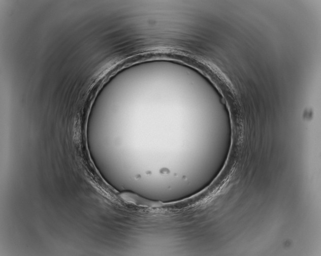 X0000100200969200806131225