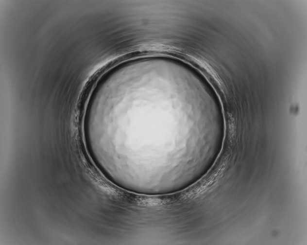 X0000100200971200806131225