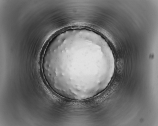 X0000100200972200806131225